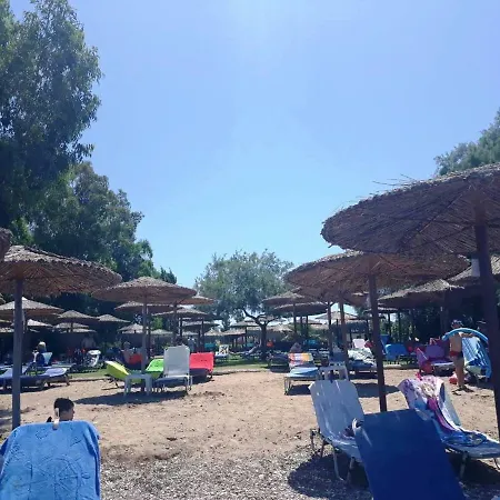 Efis In Lakopetra